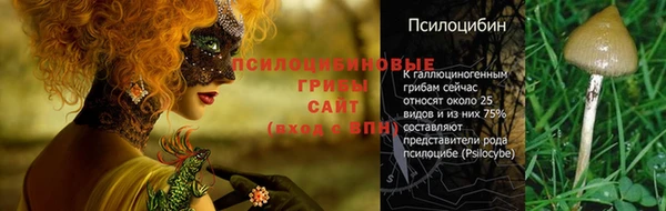 MDMA Приозерск