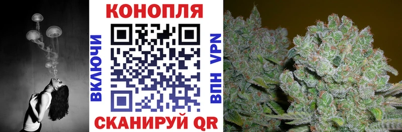 Канабис марихуана Камышлов